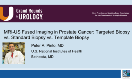 MRI-US Fused Imaging in Prostate Cancer: Targeted Biopsy vs. Standard Biopsy vs. Template Biopsy