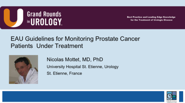 EAU Guidelines for Monitoring Prostate Cancer Patients  Under Treatment