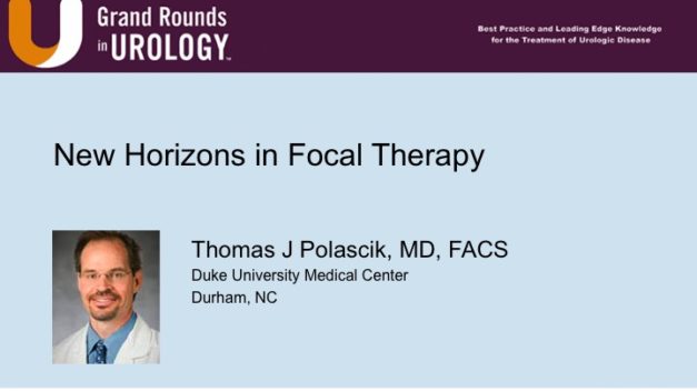 New Horizons in Focal Therapy