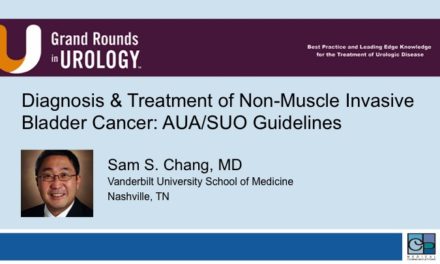 Diagnosis and Treatment of Non-Muscle Invasive Bladder Cancer: AUA/SUO Guidelines
