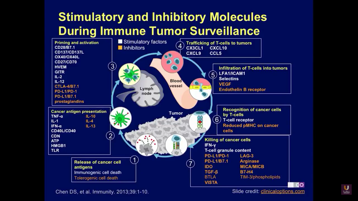 Immune Regulatory Pathway and Checkpoint Inhibitors