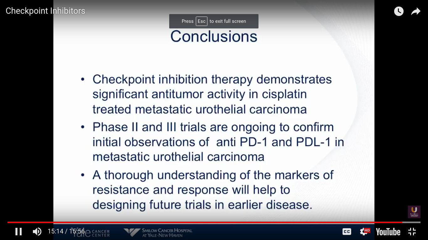 Checkpoint Inhibitor Conclusion