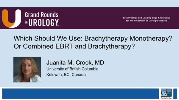 Which Should We Use: Brachytherapy, Monotherapy, or Combined EBRT and Brachytherapy