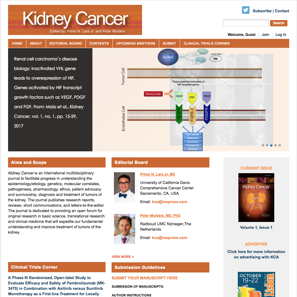 Kidney Cancer Journal