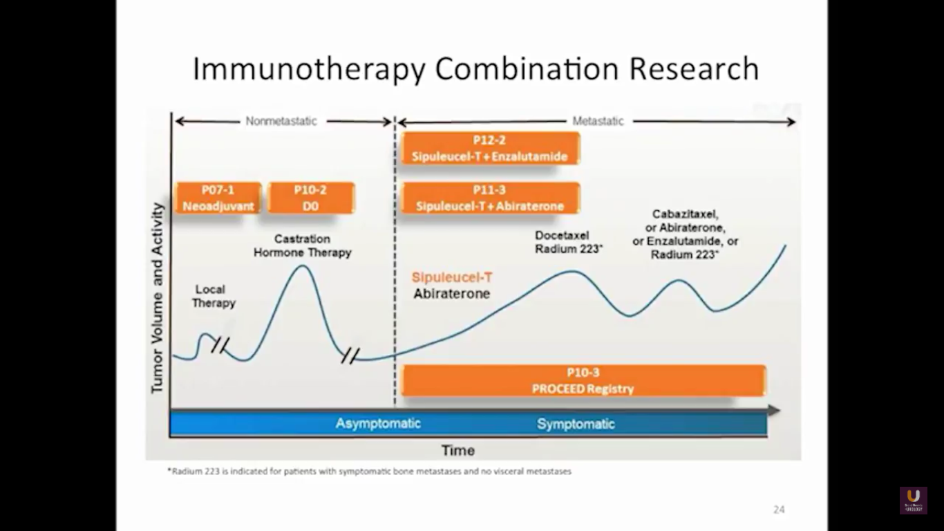 Immunotherapy Combination Research