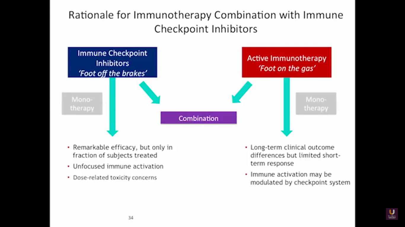 Immunotherapy Checkpoint Inhibitor Combination