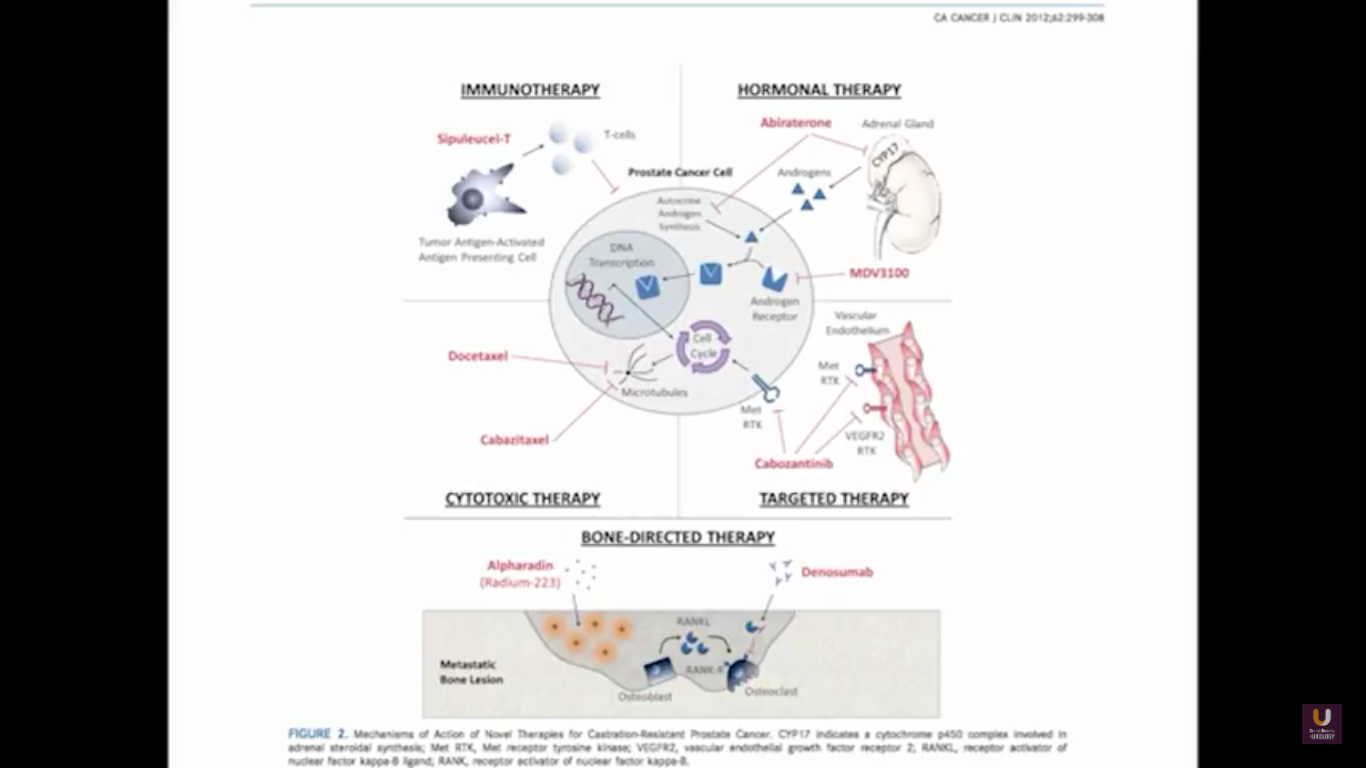 Immunotherapy Diagram