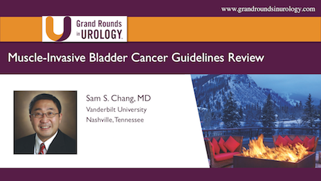 Treatment of Non-Metastatic Muscle-Invasive Bladder Cancer: AUA/ASCO/ASTRO/SUO Guidelines