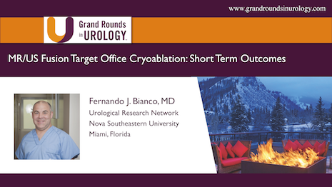 MR/US Fusion Target Office Cryoablation: Short-term Outcomes