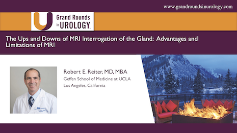 The Ups and Downs of MRI Interrogation of the Gland