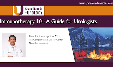 Immunotherapy 101 for the Urologist