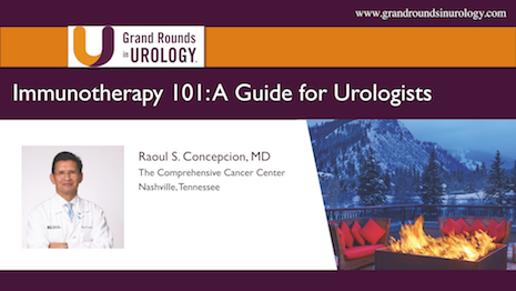 Immunotherapy 101 for the Urologist