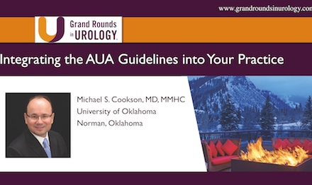 Integrating the AUA Guidelines into Your Practice