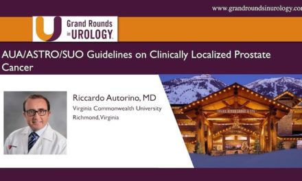 AUA/ASTRO/SUO Guidelines on Clinically Localized Prostate Cancer
