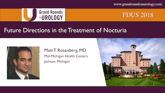 Future Directions in the Treatment of Nocturia