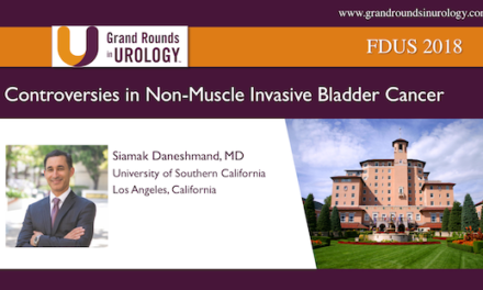 Controversies in Non-Muscle Invasive Bladder Cancer
