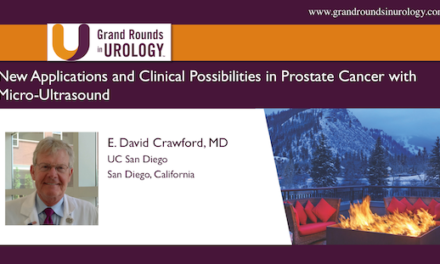New Applications and Clinical Possibilities in Prostate Cancer with Micro-Ultrasound