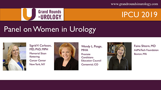 Panel on Women in Urology