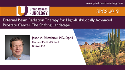 External Beam Radiation Therapy for High-Risk/Locally Advanced Prostate Cancer: The Shifting Landscape