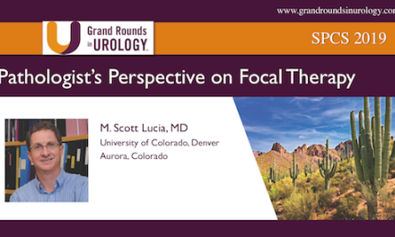 Pathologist’s Perspective on Focal Therapy