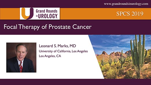 Focal Therapy of Prostate Cancer