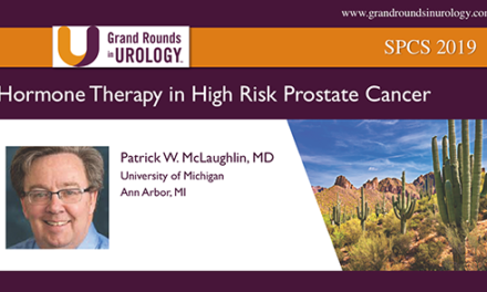 Hormone Therapy in High Risk Prostate Cancer