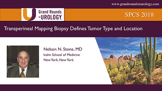 Transperineal Mapping Biopsy Defines Tumor Type and Location