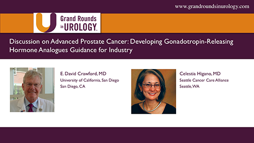 Discussion of FDA Industry Guidelines for Developing Gonadotropin-Releasing Hormone Analogues for Advanced Prostate Cancer