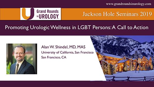 Promoting Urologic Wellness in LGBT Persons: A Call to Action