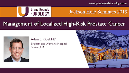 Management of Localized High-Risk Prostate Cancer