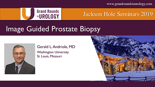 Image Guided Prostate Biopsy