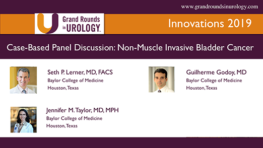 Case-Based Panel Discussion: Non-Muscle Invasive Bladder Cancer