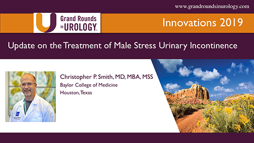 Update on the Treatment of Male Stress Urinary Incontinence