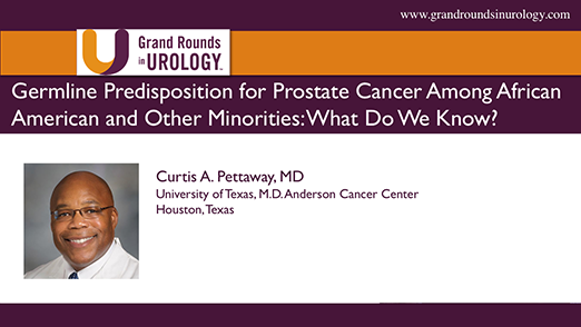 Germline Predisposition for Prostate Cancer Among African Americans and Other Minorities: What Do We Know?