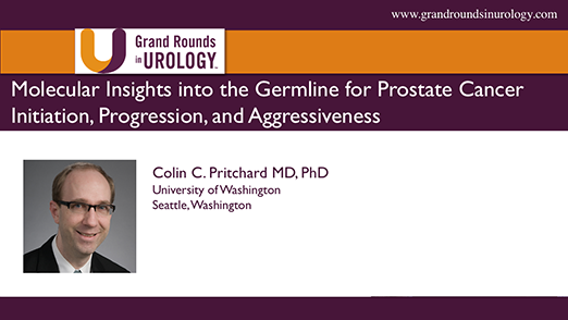 Molecular Insights into the Germline for Prostate Cancer Initiation, Progression, and Aggressiveness