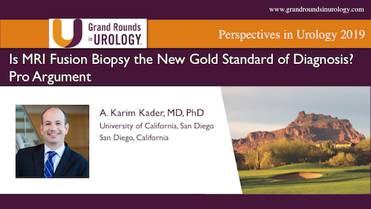 Is MRI Fusion Biopsy the New Gold Standard of Diagnosis? Pro Argument