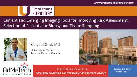 Current and Emerging Imaging Tools for Improving Risk Assessment, Selection of Patients for Biopsy, and Tissue Sampling