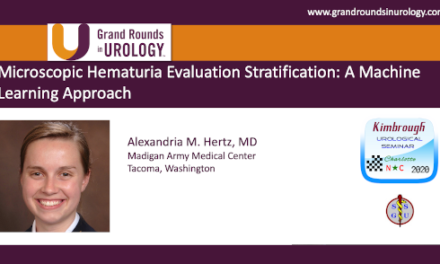 Microscopic Hematuria Evaluation Stratification: A Machine Learning Approach