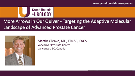 More Arrows in Our Quiver – Targeting the Adaptive Molecular Landscape of Advanced Prostate Cancer
