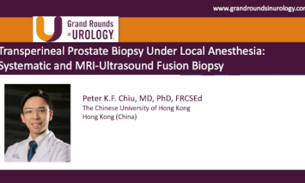 Transperineal Prostate Biopsy Under Local Anesthesia: Systematic and MRI-Ultrasound Fusion Biopsy