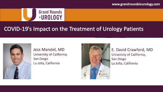 Dr. Mandel & Dr. Crawford - COVID-19 Impact on Treatment of Urology Patients