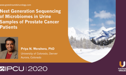 Next Generation Sequencing of Microbiomes in Urine Samples of Prostate Cancer Patients