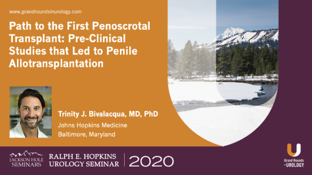 Path to the First Penoscrotal Transplant: Pre-Clinical Studies that Led to Penile Allotransplantation