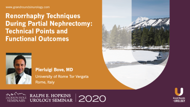 Renorrhaphy Techniques During Partial Nephrectomy: Technical Points and Functional Outcomes