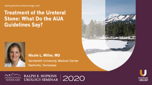 Treatment of the Ureteral Stone: What Do the AUA Guidelines Say?
