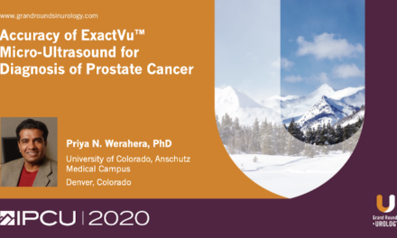 Accuracy of ExactVu™ Micro-Ultrasound for Diagnosis of Prostate Cancer