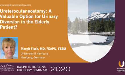 Ureterocutaneostomy: A Valuable Option for Urinary Diversion in the Elderly Patient?