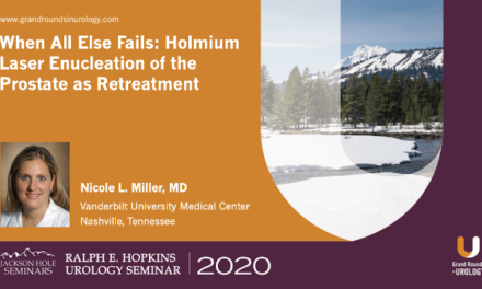 When All Else Fails: Holmium Laser Enucleation of the Prostate as Retreatment for BPH
