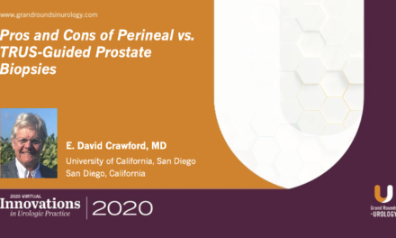 Pros and Cons of Perineal vs. TRUS-Guided Prostate Biopsies