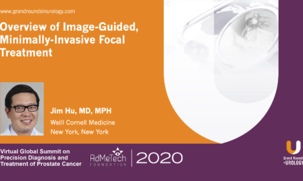 Overview of Image-Guided, Minimally-Invasive Focal Treatment